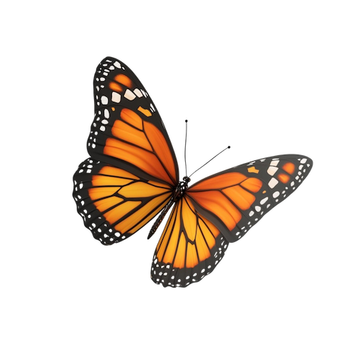 Marie Motelet hypnothérapeute